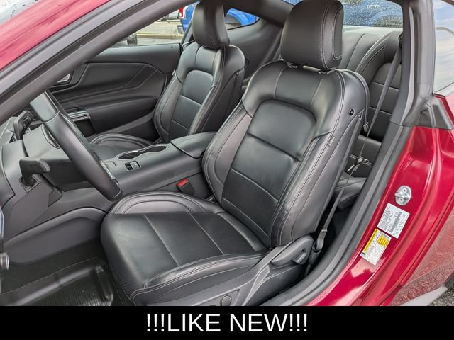 Used 2025 Ford Mustang Premium w/ Mustang Nite Pony Package RWD image 13