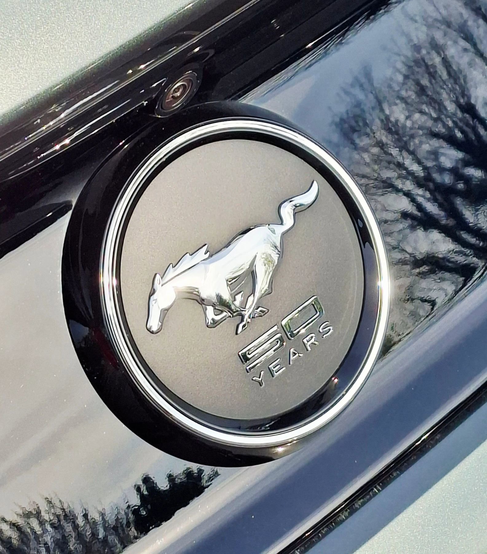 Used 2015 Ford Mustang Premium w/ Equipment Group 201A RWD image 7