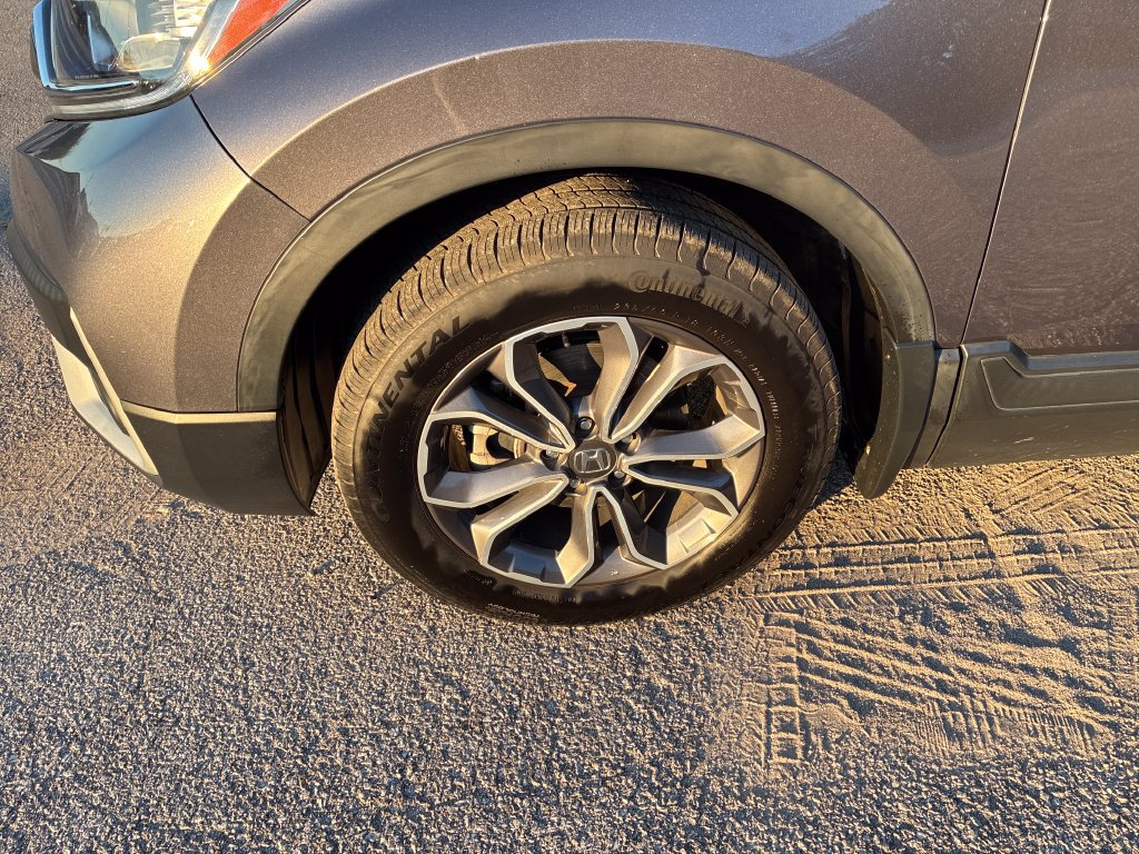 Certified 2022 Honda CR-V EX-L image 11