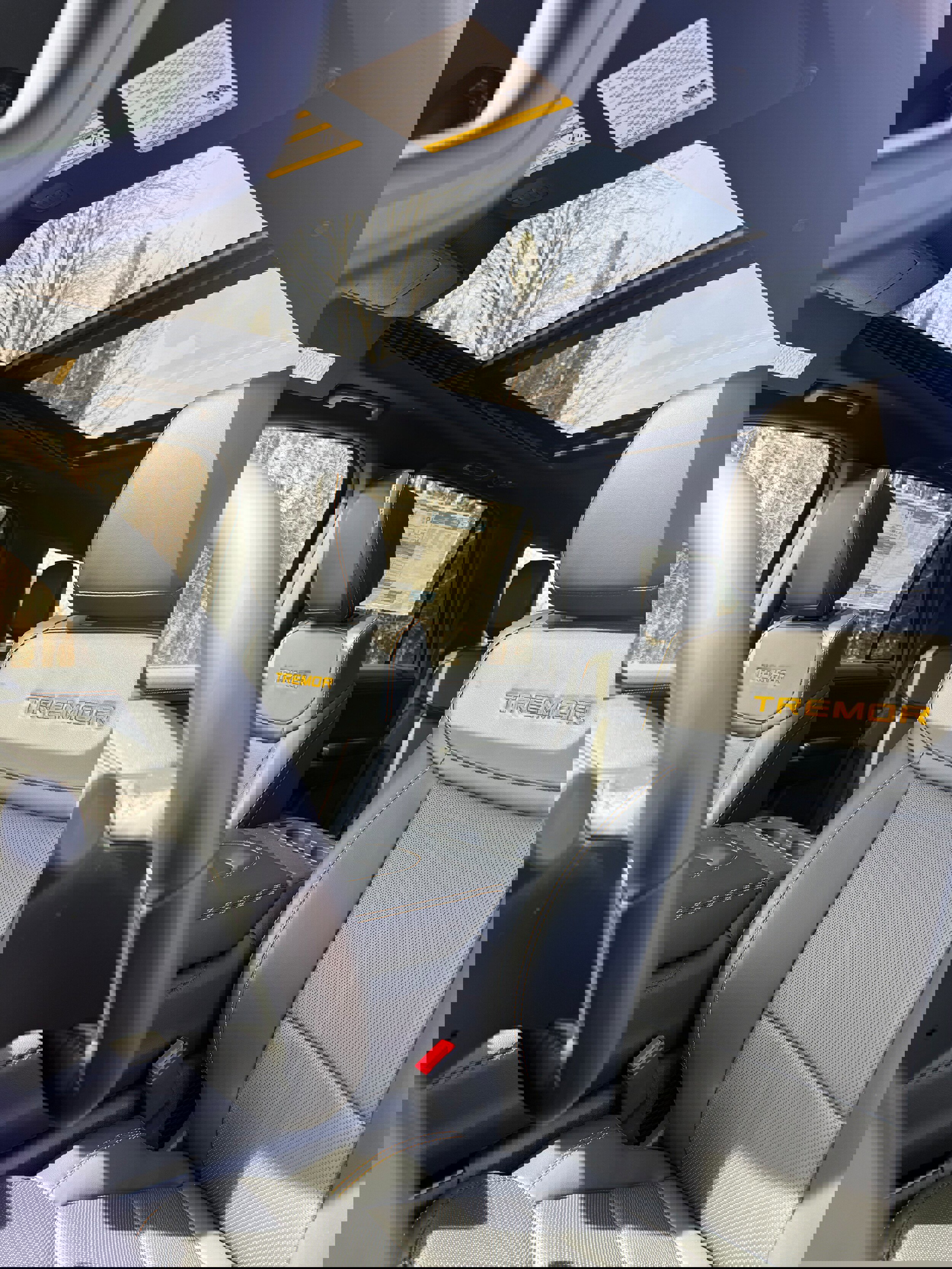 New 2026 Ford Expedition Tremor image 20