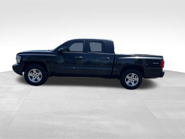Used 2011 Dodge Dakota Big Horn AWD/4WD image 4