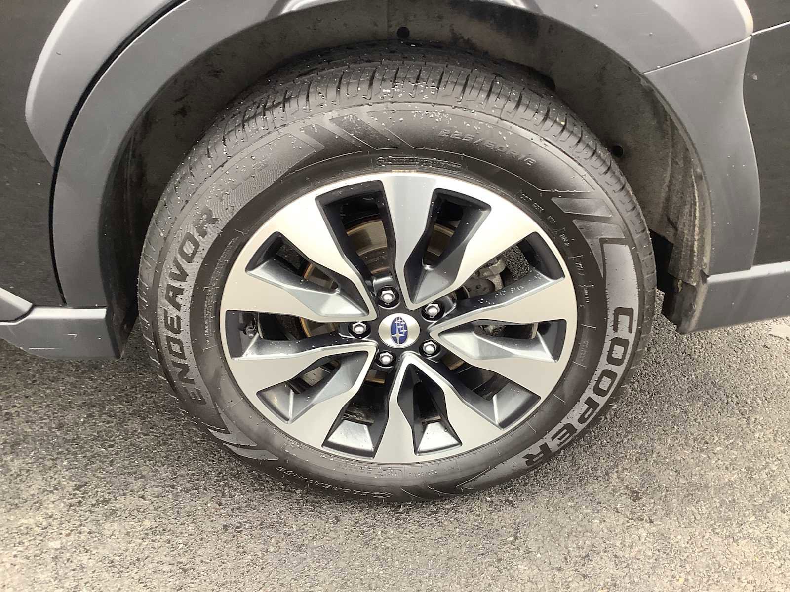 Used 2025 Subaru Outback Limited image 7