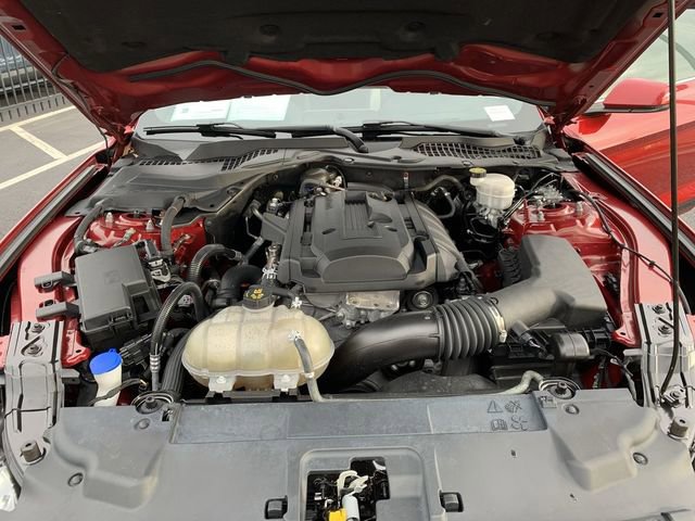 Used 2020 Ford Mustang Premium w/ Pony Package image 14