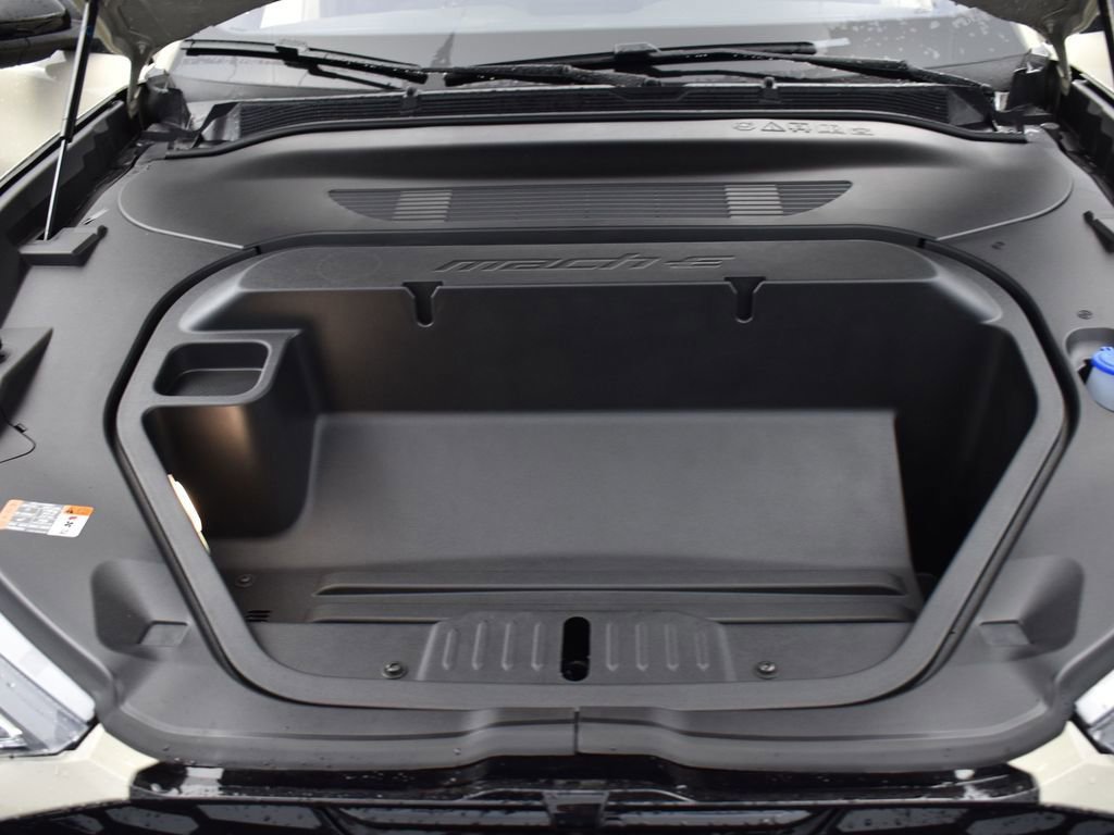 New 2025 Ford Mustang Mach-E GT image 16