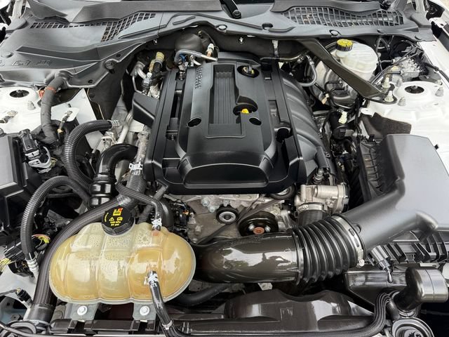 Used 2019 Ford Mustang Convertible RWD image 18