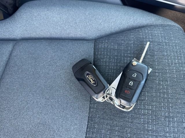 Used 2025 Ford F150 XLT w/ Equipment Group 301A Standard image 5