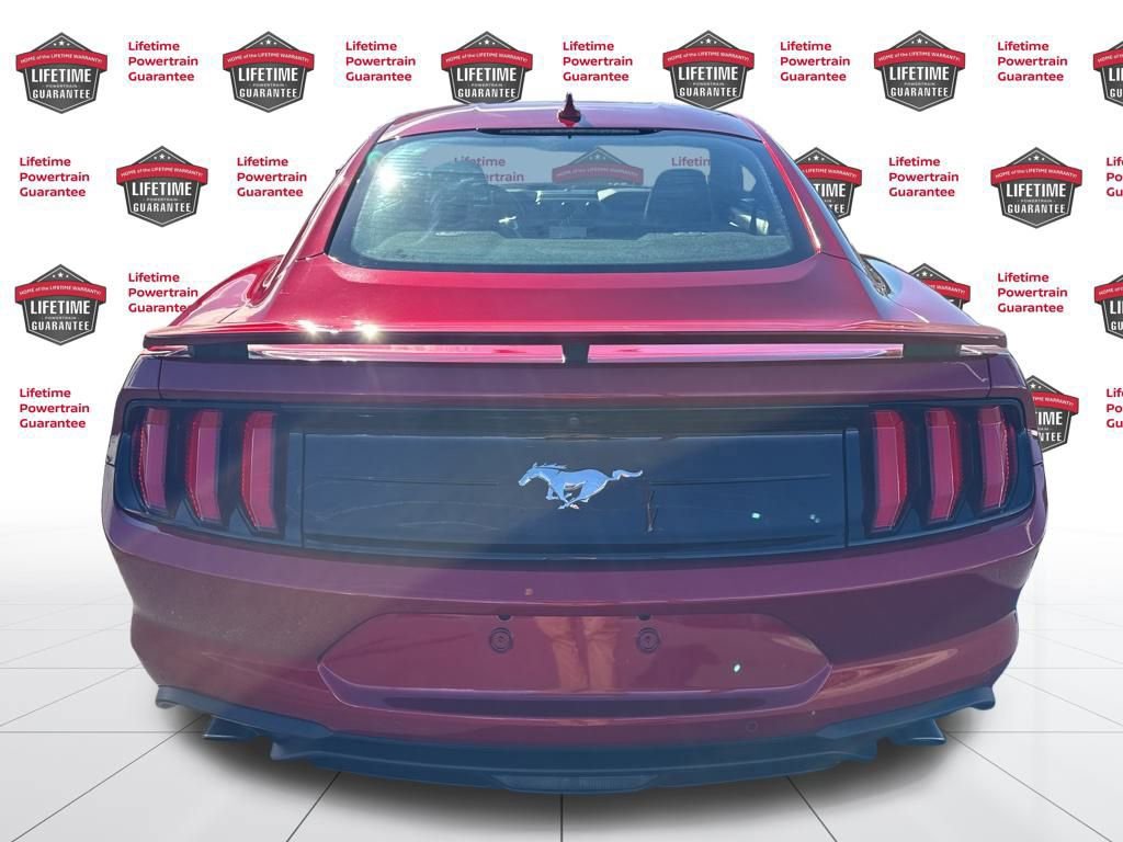 Used 2023 Ford Mustang Premium w/ Equipment Group 201A image 6