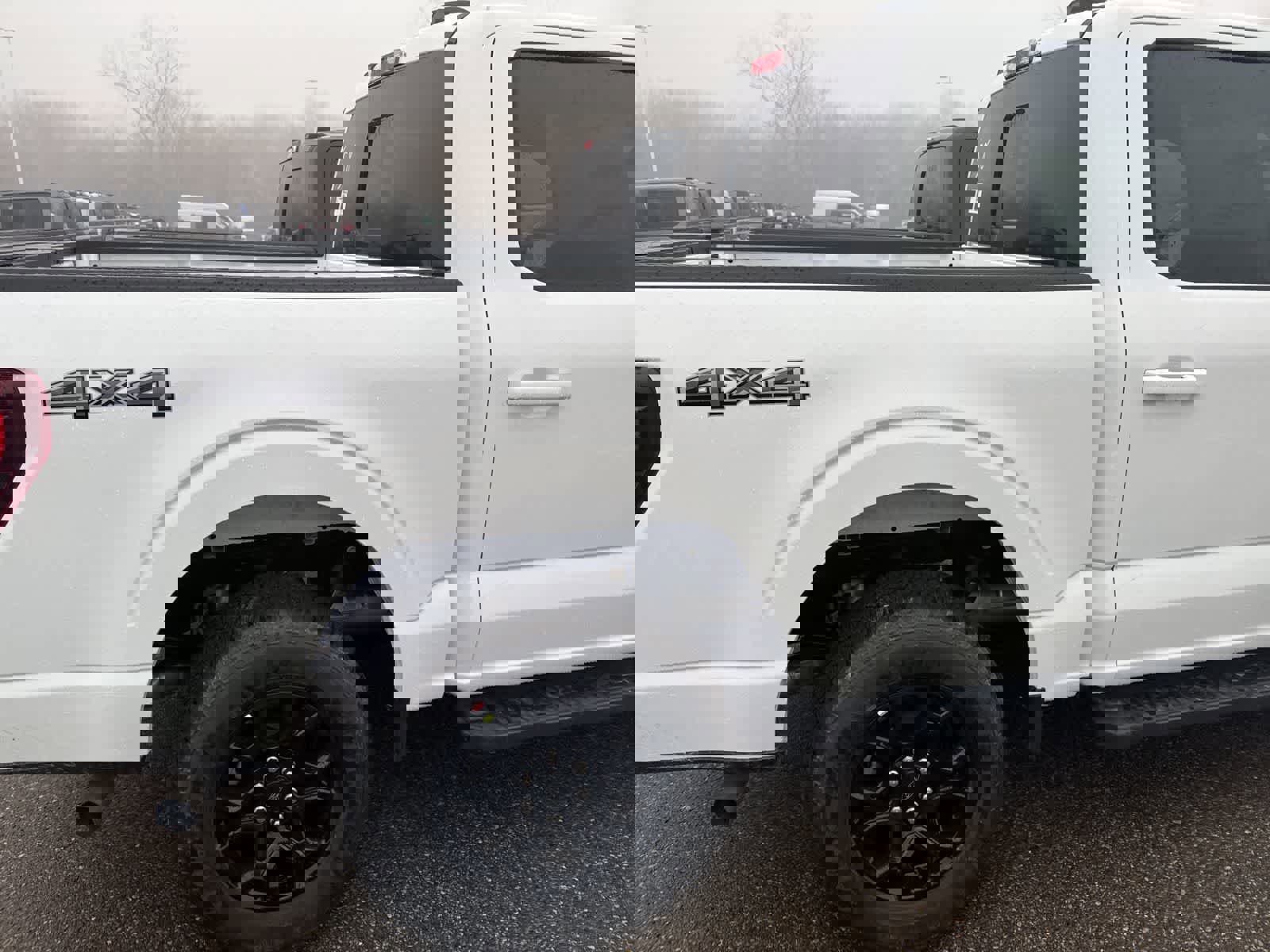 New 2026 Ford F150 XLT w/ Equipment Group 302A MID image 11