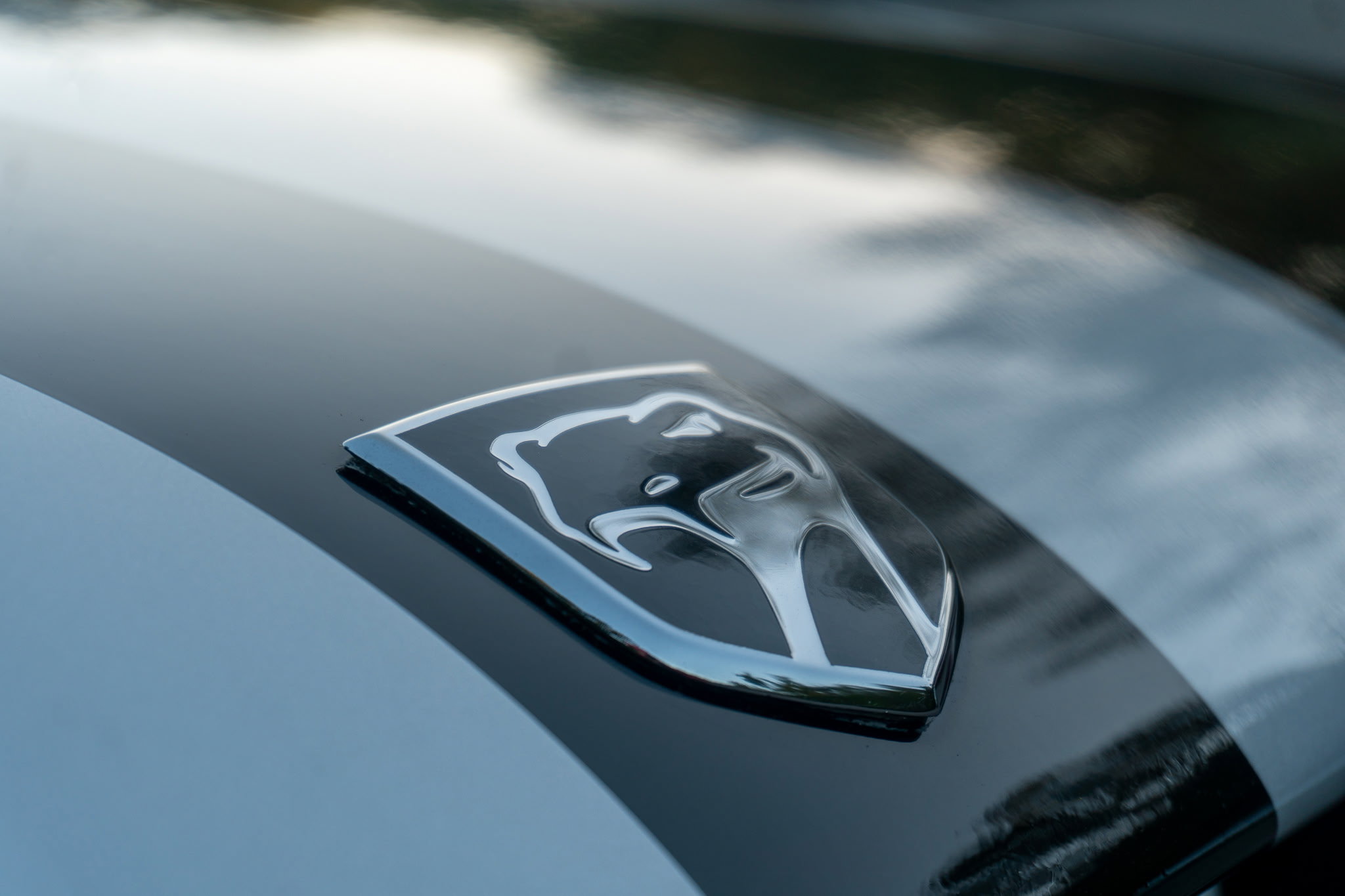 Used 1996 Dodge Viper RT/10 RWD image 13