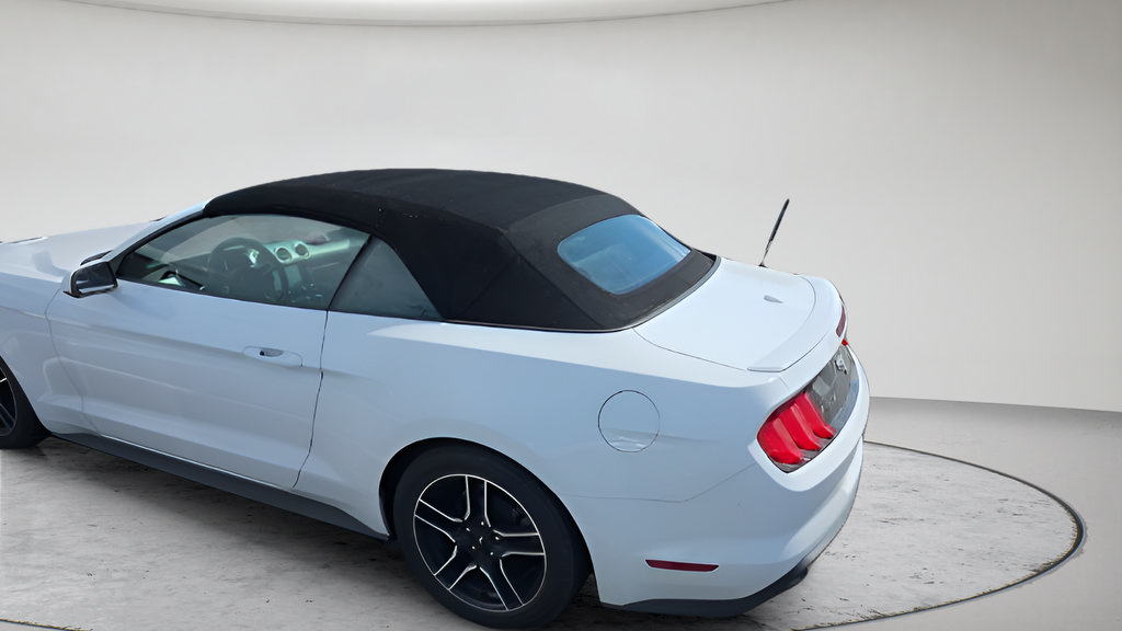 Used 2018 Ford Mustang Premium RWD image 4