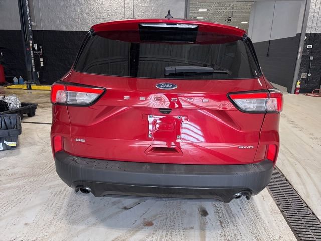 Used 2021 Ford Escape SE w/ SE Sport Appearance Package image 6