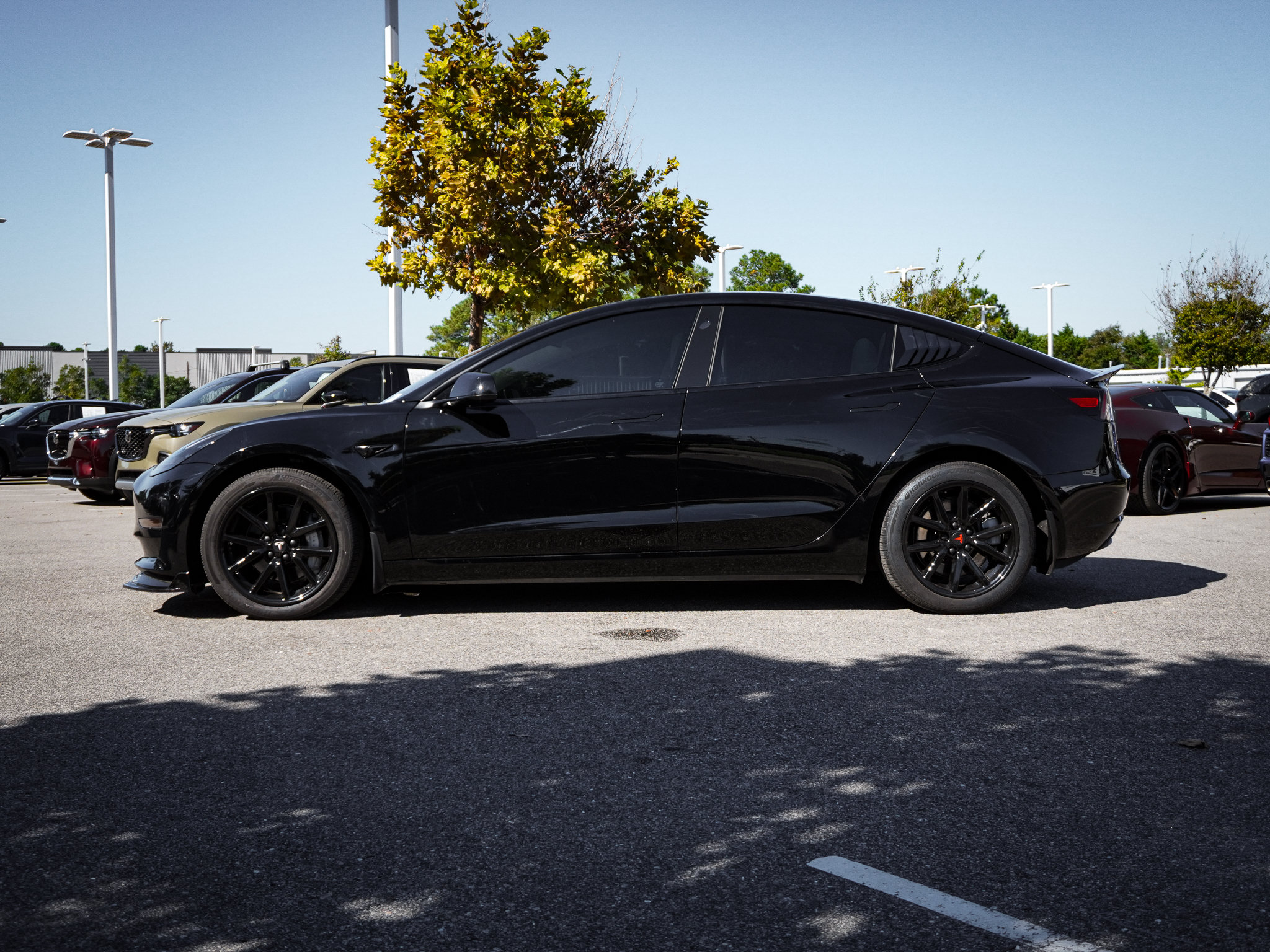 Used 2023 Tesla Model 3 Standard Range RWD image 43