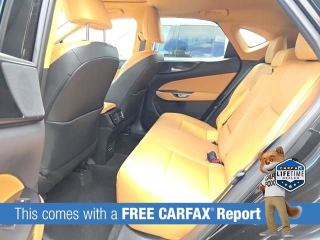 Used 2024 Lexus NX 350 AWD w/ Cold Area Package image 3