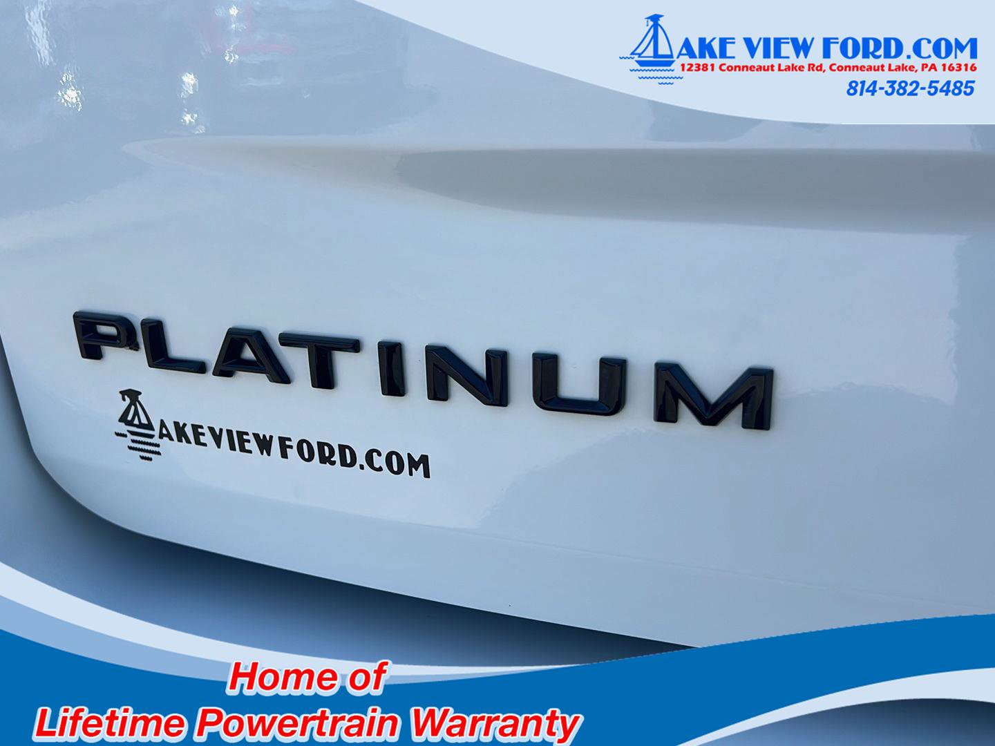 New 2025 Ford Expedition Platinum w/ Stealth Performance Package image 6