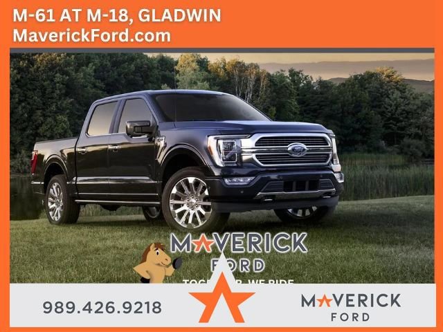 Used 2023 Ford F150 XLT w/ Equipment Group 302A High image 41