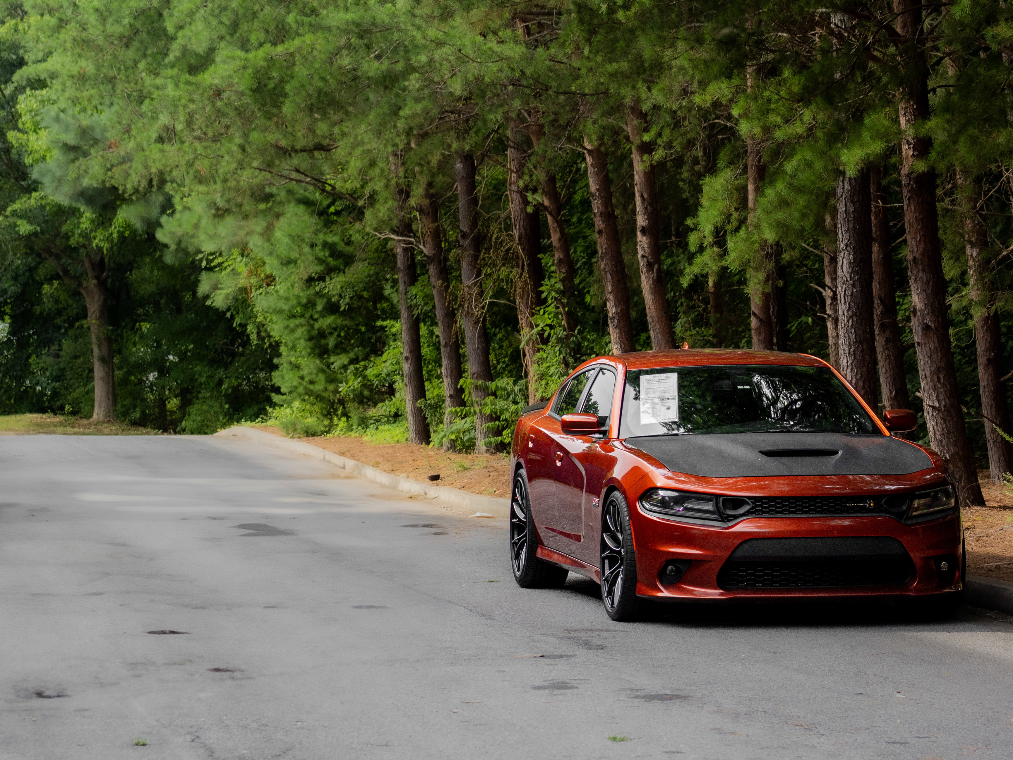 Used 2021 Dodge Charger Scat Pack image 39