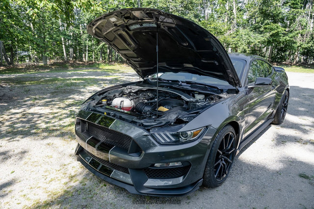 Used 2015 Ford Mustang Shelby GT350 RWD image 21