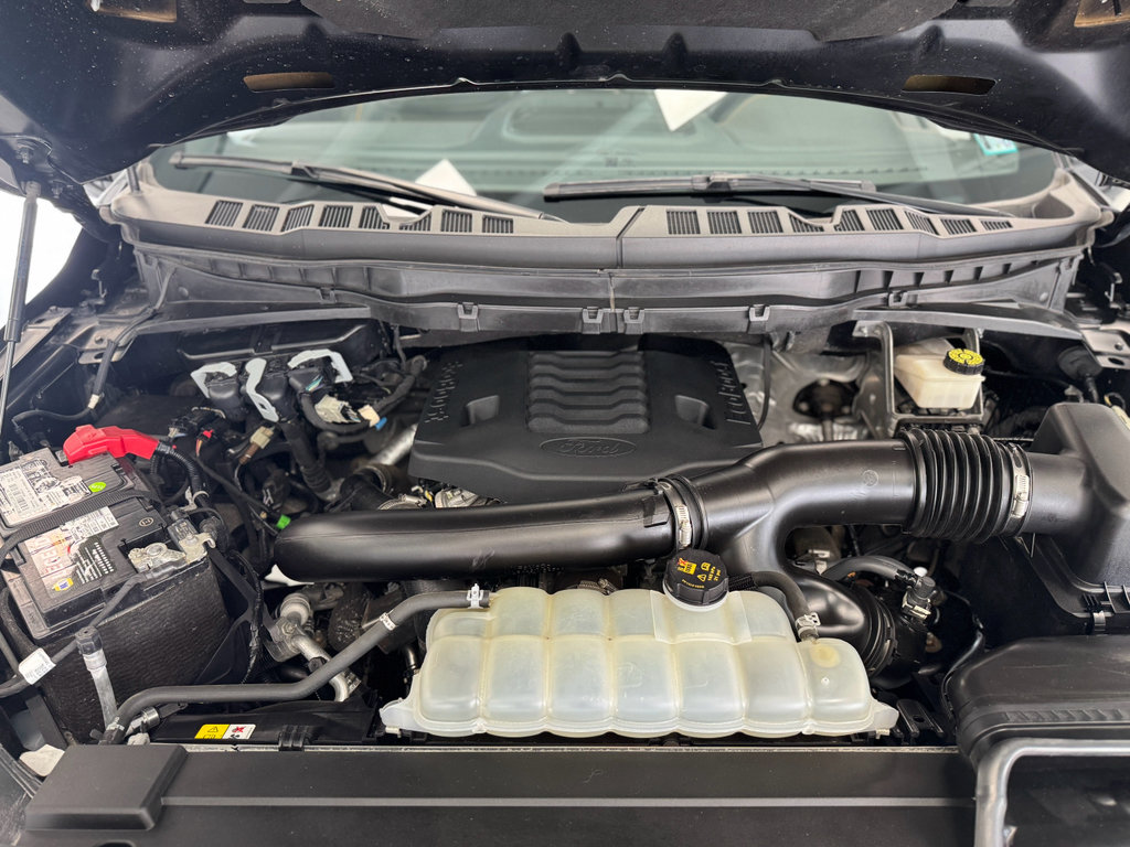 Used 2023 Ford F150 Tremor w/ Equipment Group 402A High image 48