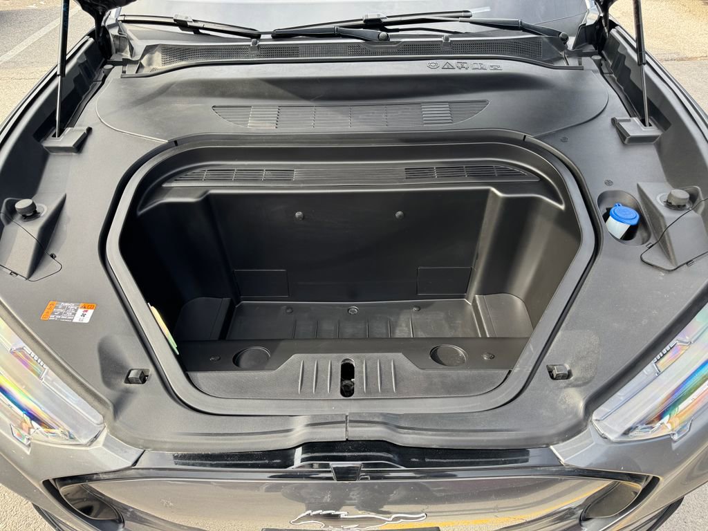 Used 2021 Ford Mustang Mach-E Premium image 14