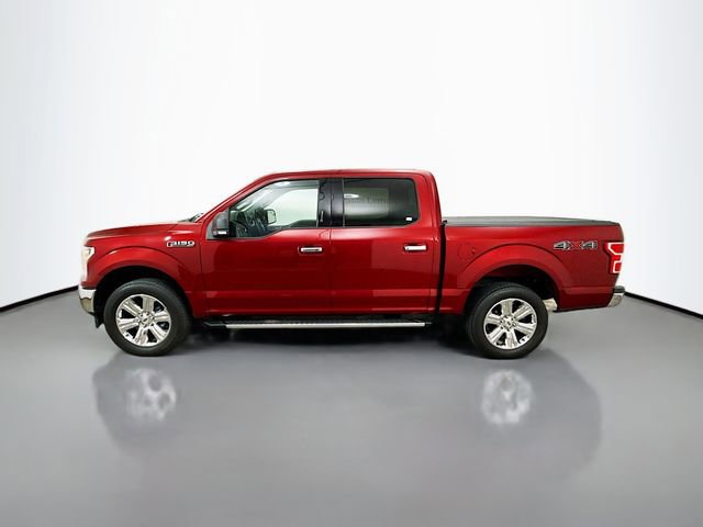 Used 2019 Ford F150 XLT w/ Equipment Group 302A Luxury AWD/4WD image 4