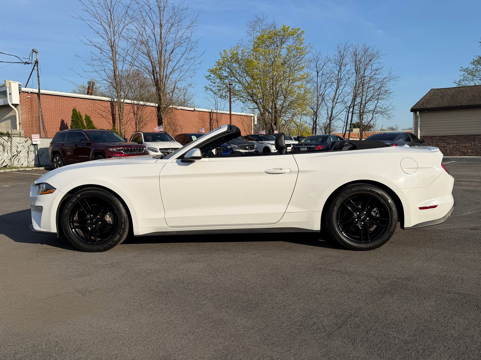 Used 2020 Ford Mustang Premium image 3