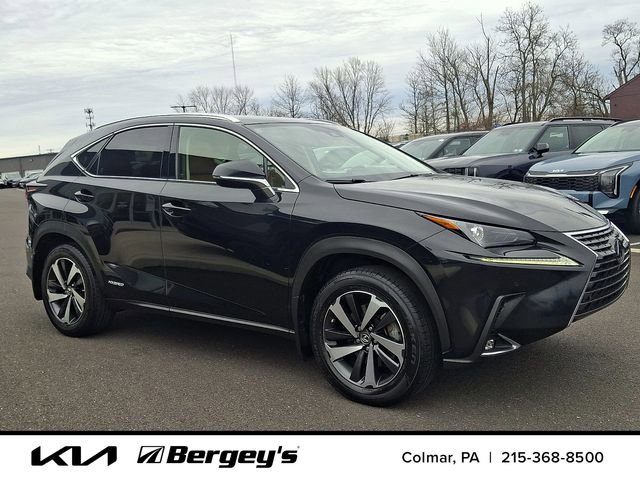 Used 2020 Lexus NX 300h AWD w/ Premium Package image 3