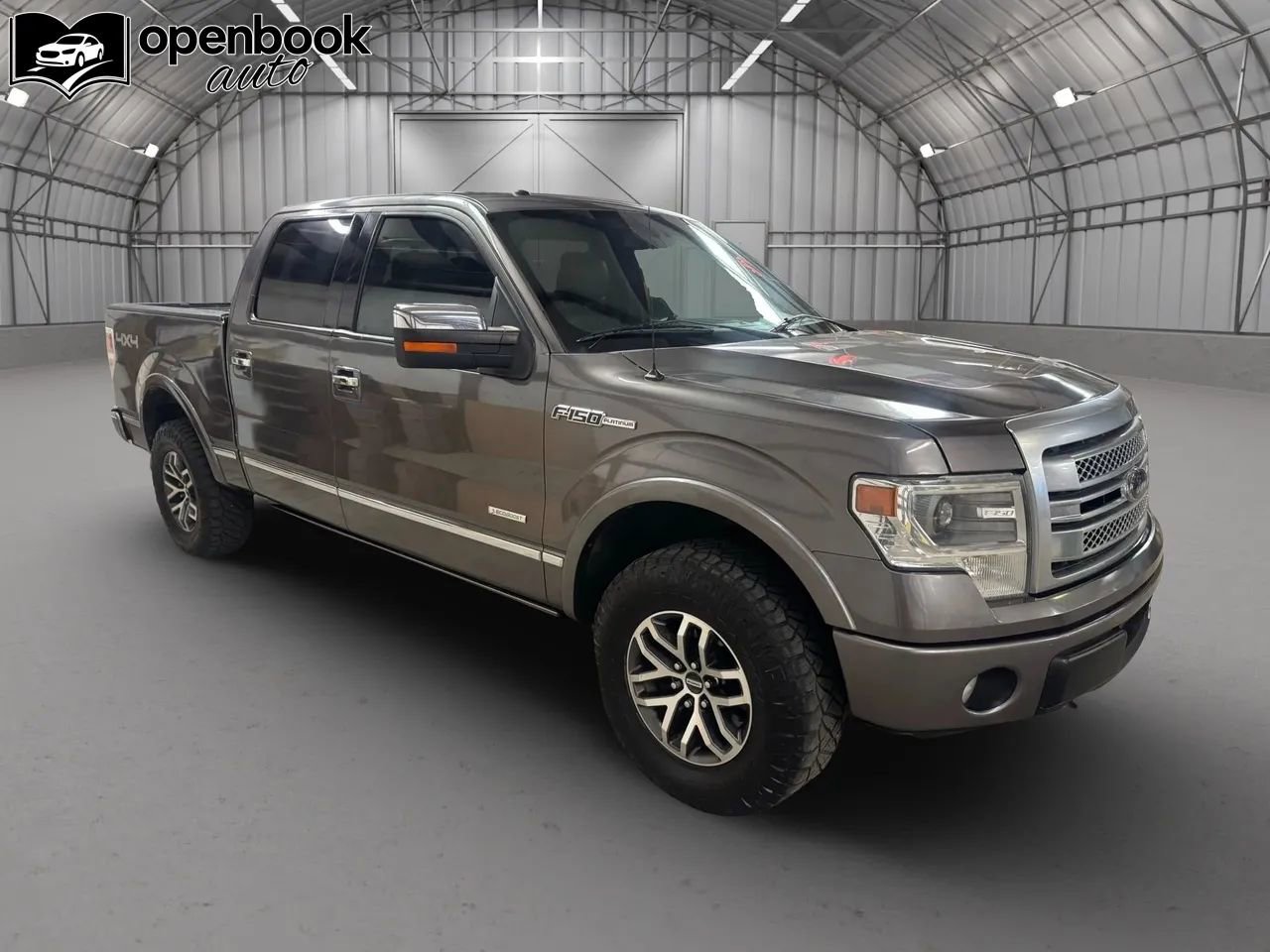 Used 2014 Ford F150 Platinum image 3