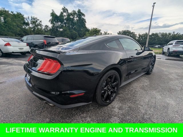 Used 2018 Ford Mustang GT w/ Equipment Group 301A RWD image 5