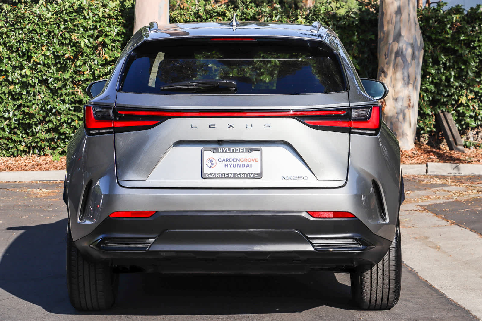 Used 2024 Lexus NX 250 FWD image 7