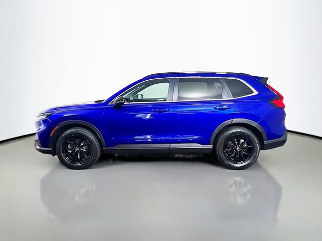 Certified 2024 Honda CR-V Sport image 6