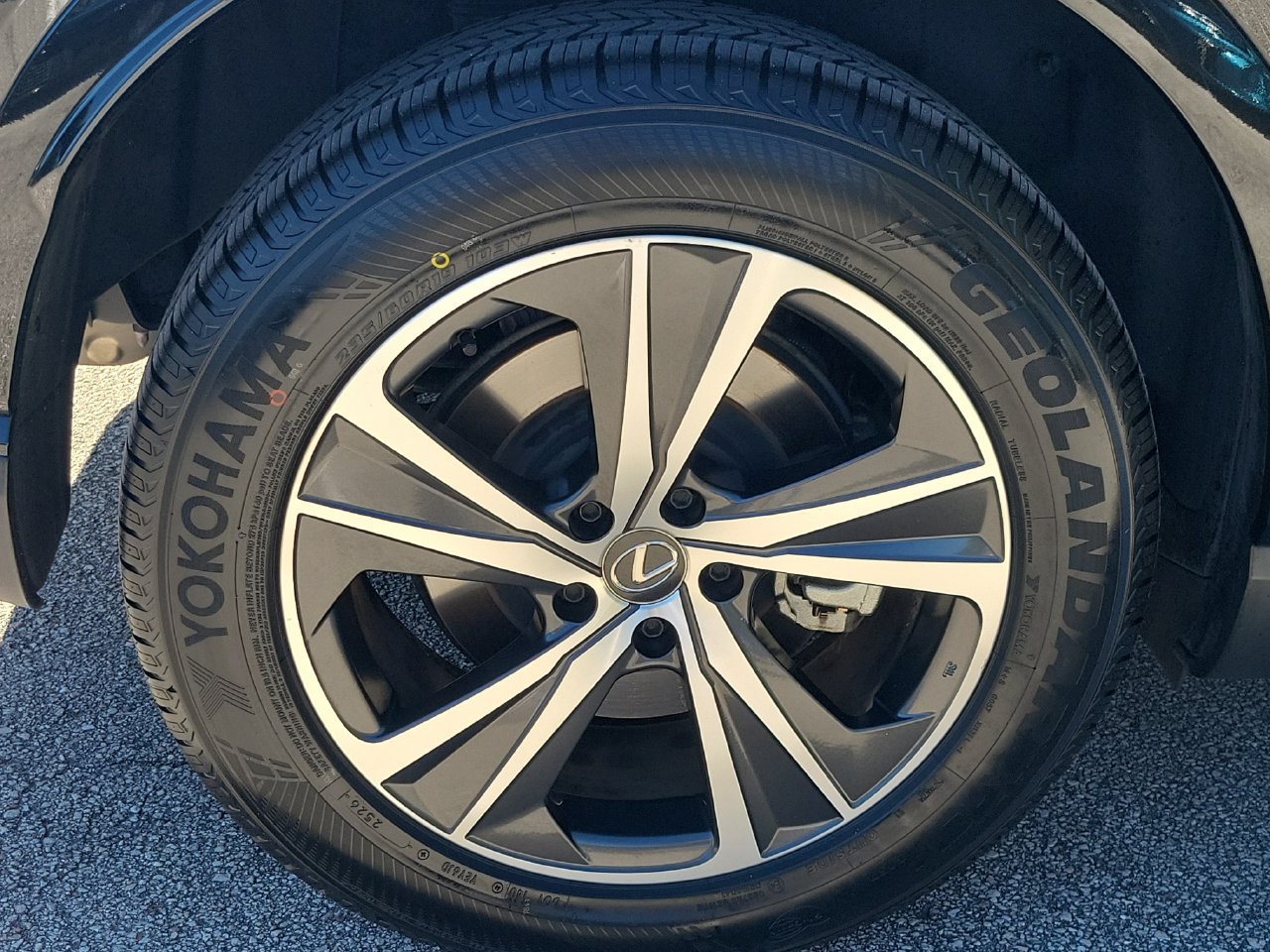 Used 2025 Lexus RX 350 Premium FWD image 5