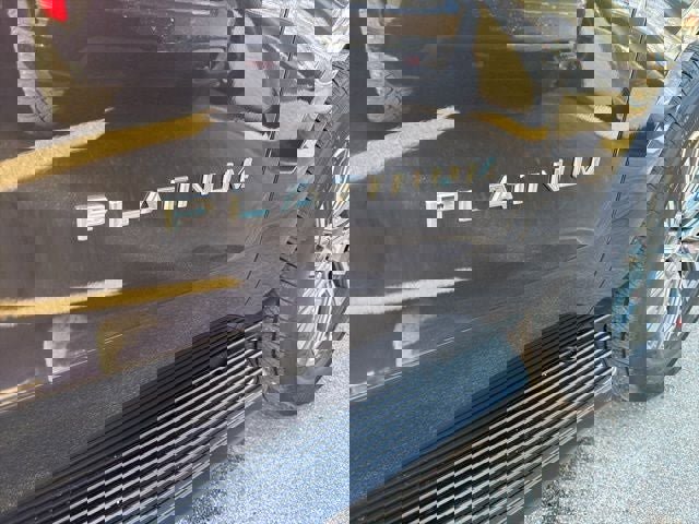 New 2026 Ford Expedition Max Platinum image 9