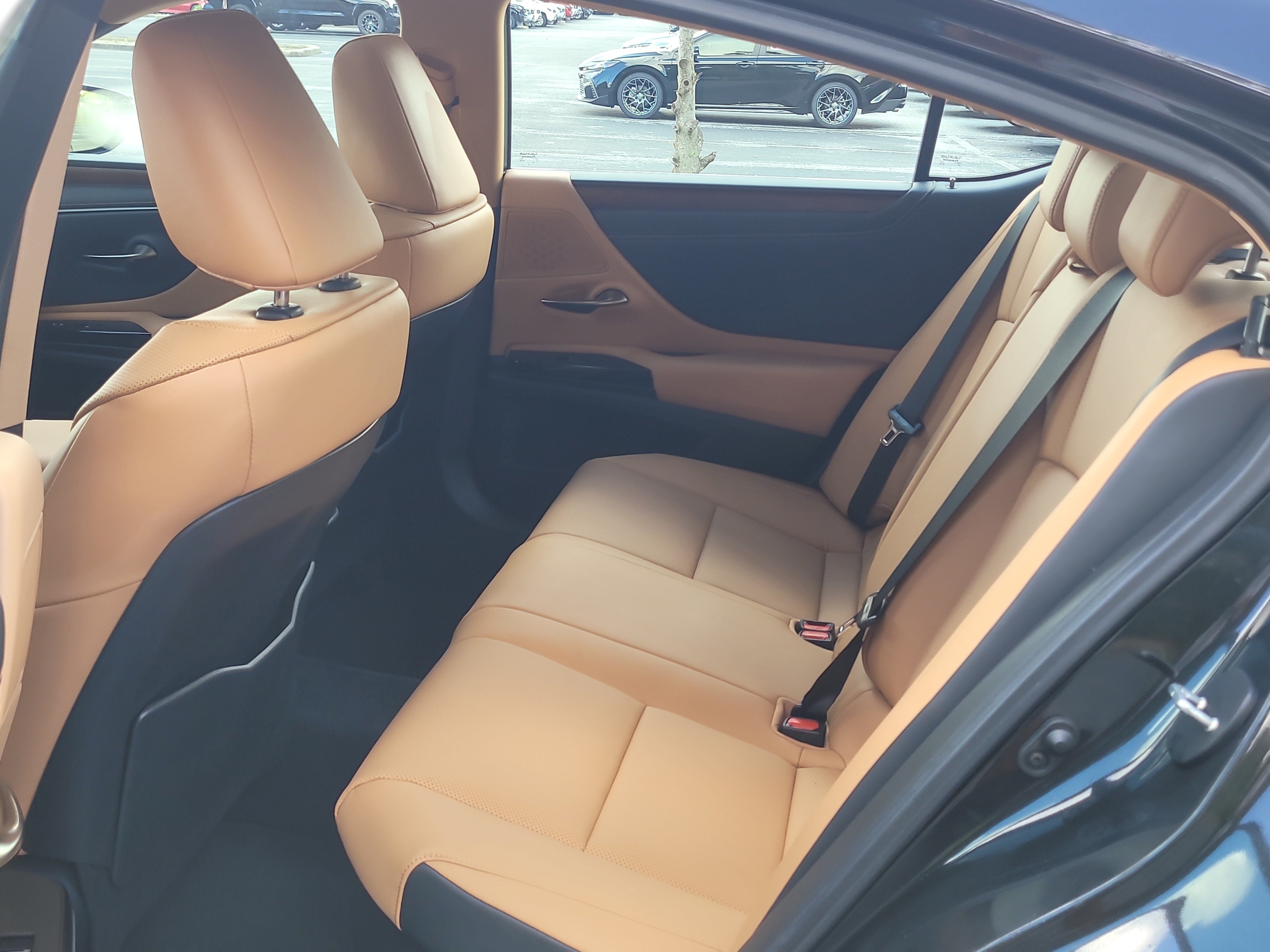 Used 2025 Lexus ES 300h w/ Premium Package FWD image 13