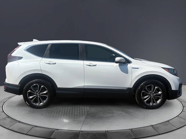 Used 2020 Honda CR-V EX-L image 6