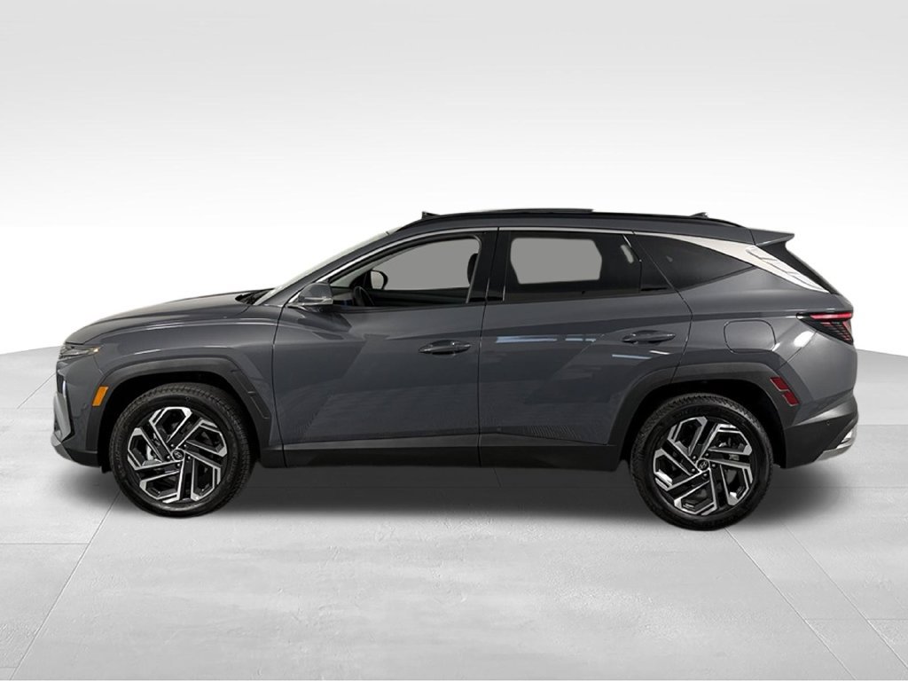 Used 2026 Hyundai Tucson Limited AWD/4WD image 10