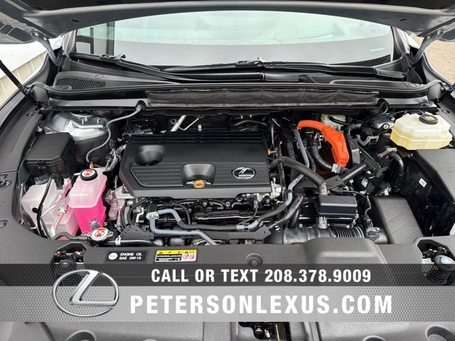 Certified 2025 Lexus RX 350 image 9