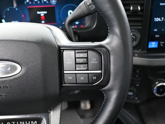 Used 2025 Ford F250 Platinum image 31