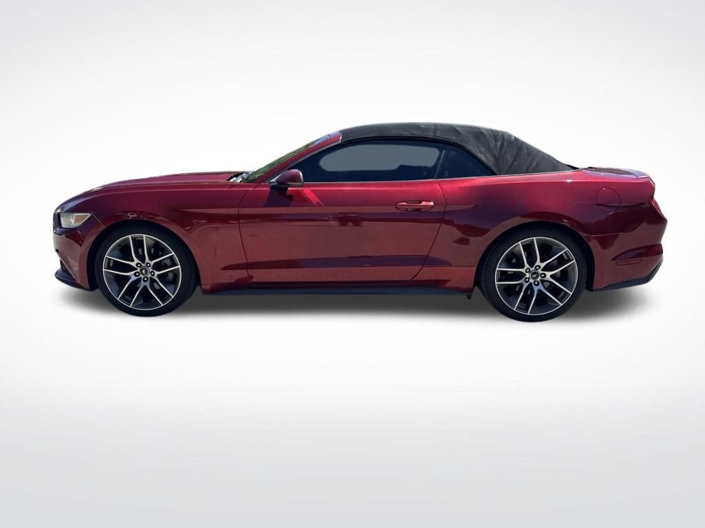 Used 2016 Ford Mustang Premium w/ Equipment Group 201A RWD image 8