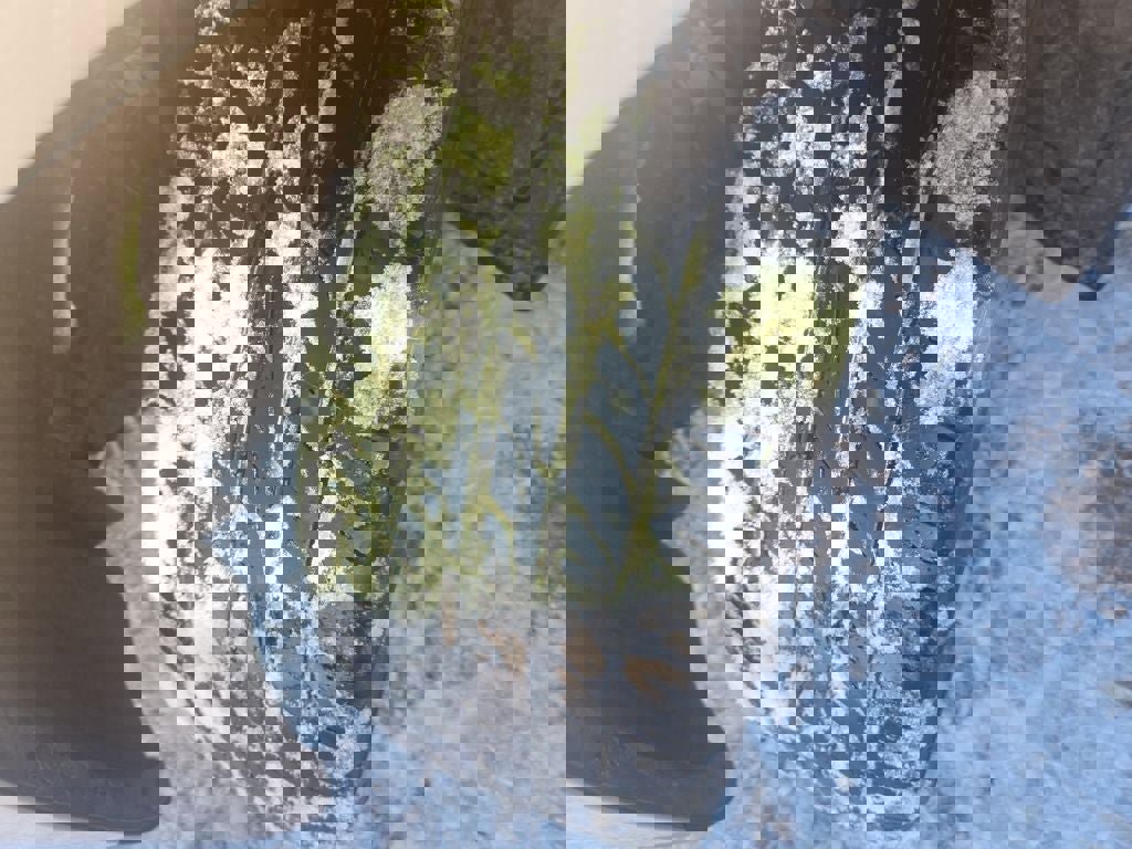 Used 2010 GMC Terrain SLE image 10