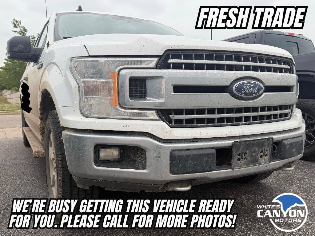 Used 2019 Ford F150 XLT w/ Equipment Group 302A Luxury AWD/4WD image 1
