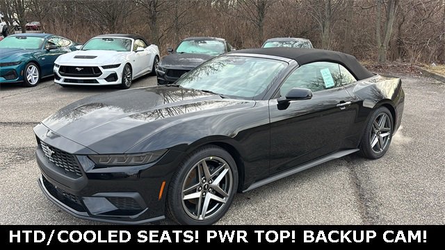 New 2026 Ford Mustang Premium image 34