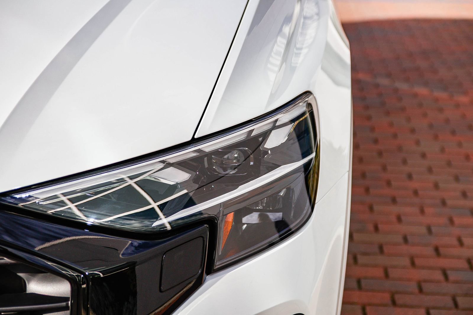 Certified 2025 Audi Q8 Premium w/ Black Optic Package image 12