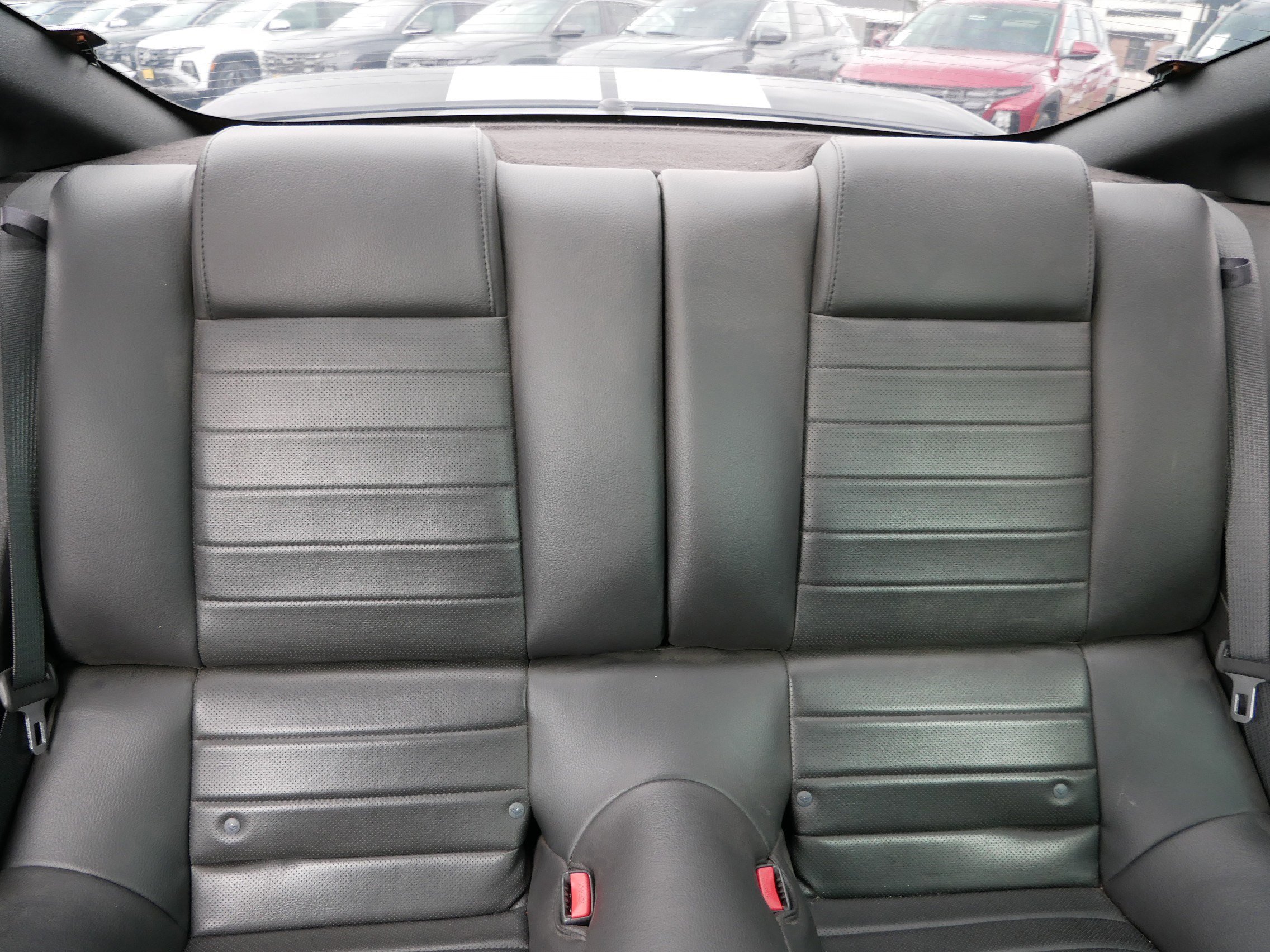 Used 2008 Ford Mustang Shelby GT500 image 13