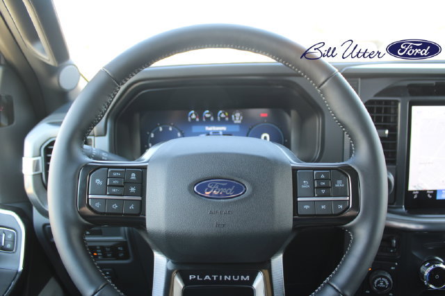 New 2026 Ford F150 Platinum w/ Equipment Group 702A High AWD/4WD image 18