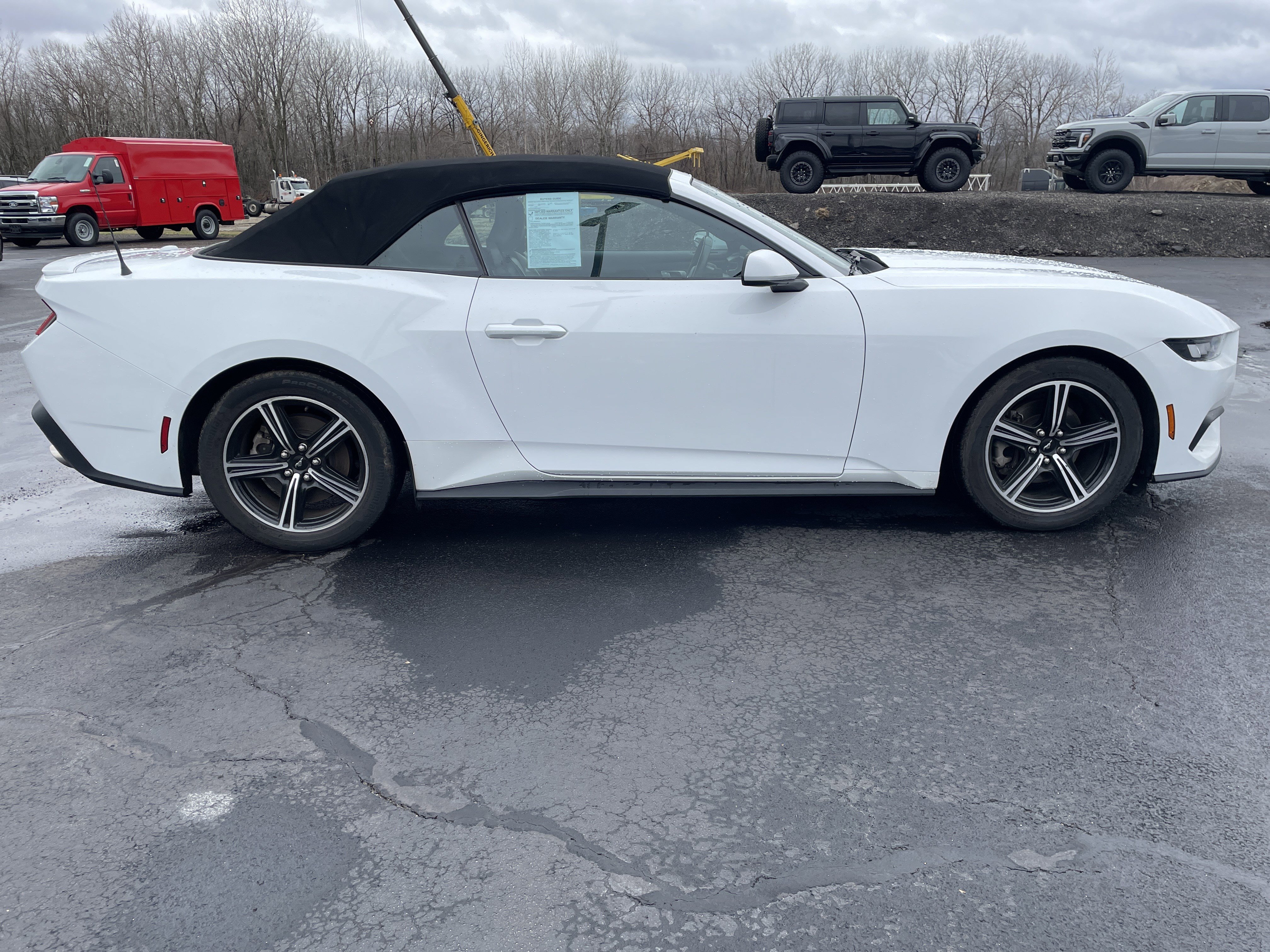 Used 2024 Ford Mustang Premium image 6