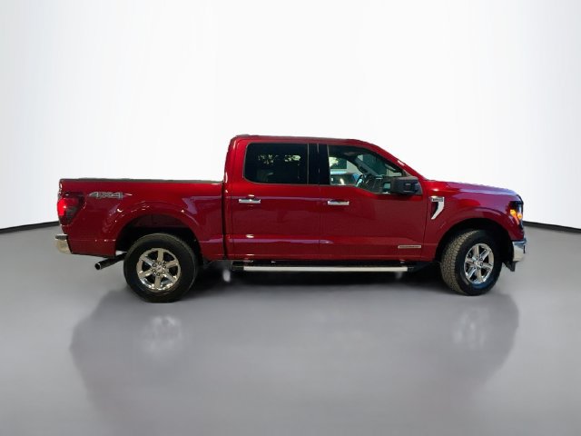 Used 2025 Ford F150 XLT w/ Equipment Group 301A Standard AWD/4WD image 9