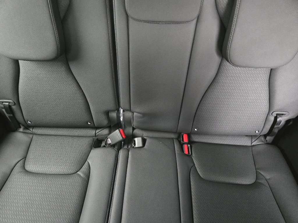 New 2026 Kia Carnival SX Prestige image 20