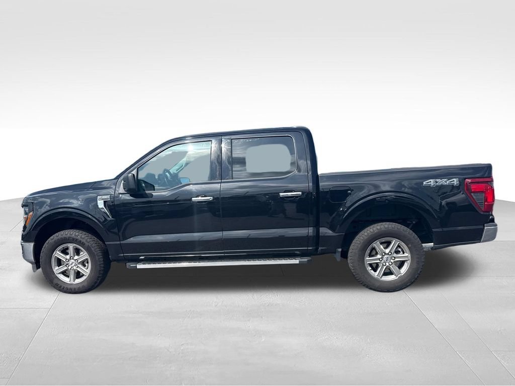 Used 2025 Ford F150 XLT w/ Equipment Group 301A Standard AWD/4WD image 3