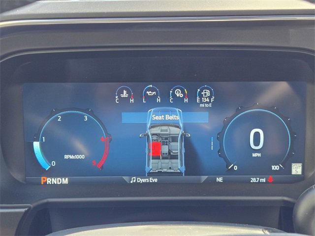 New 2026 Ford F250 Platinum w/ Tremor Off-Road Package image 10