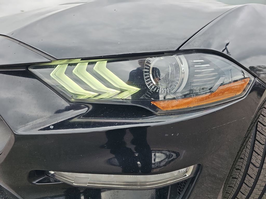 Used 2019 Ford Mustang EcoBoost image 30